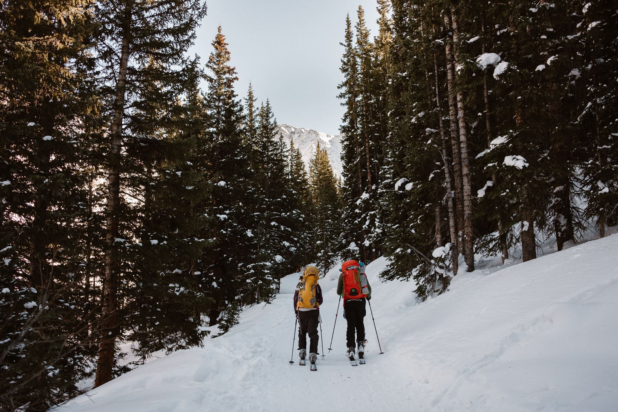 Bride and groom skinning up snow-covered trail, backcountry skiing elopement in Colorado