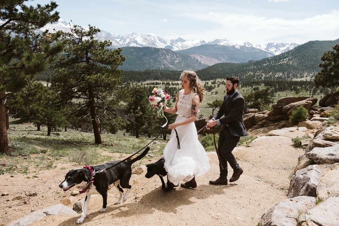 Bride and groom with their dogs at adventure elopement in Colorado, Estes Park wedding photographer