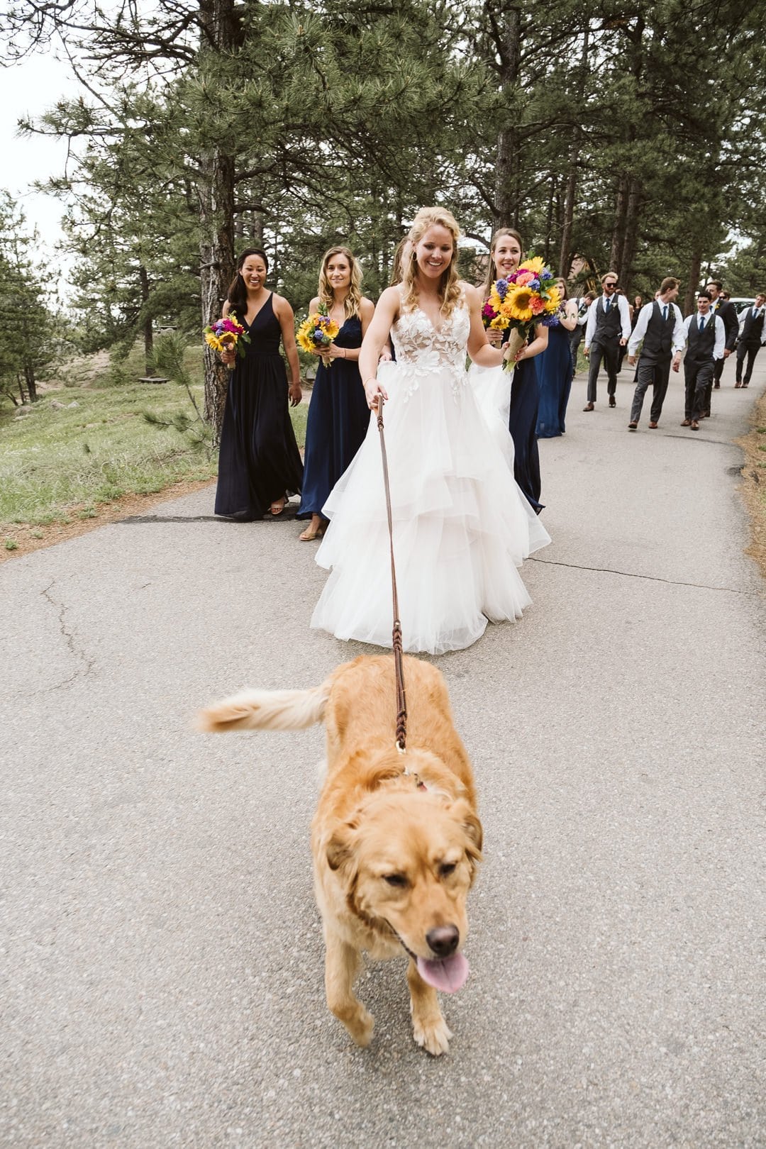Bride and bridesmaids walking with dog on Flagstaff Mountain in Boulder after Sunrise Amphitheater wedding ceremony, Colorado wedding photographer