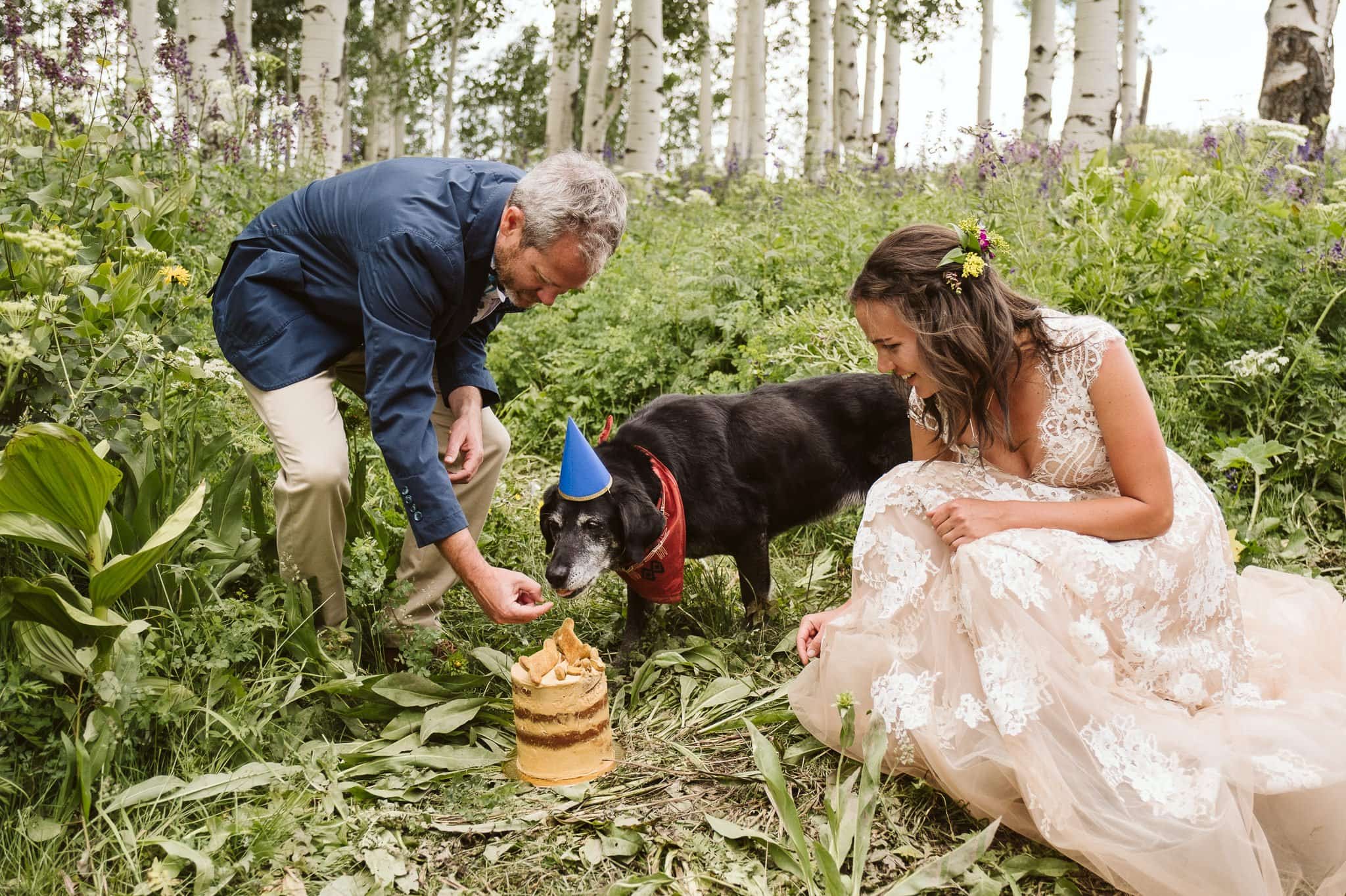 Bride and groom with their dog, dog birthday cake