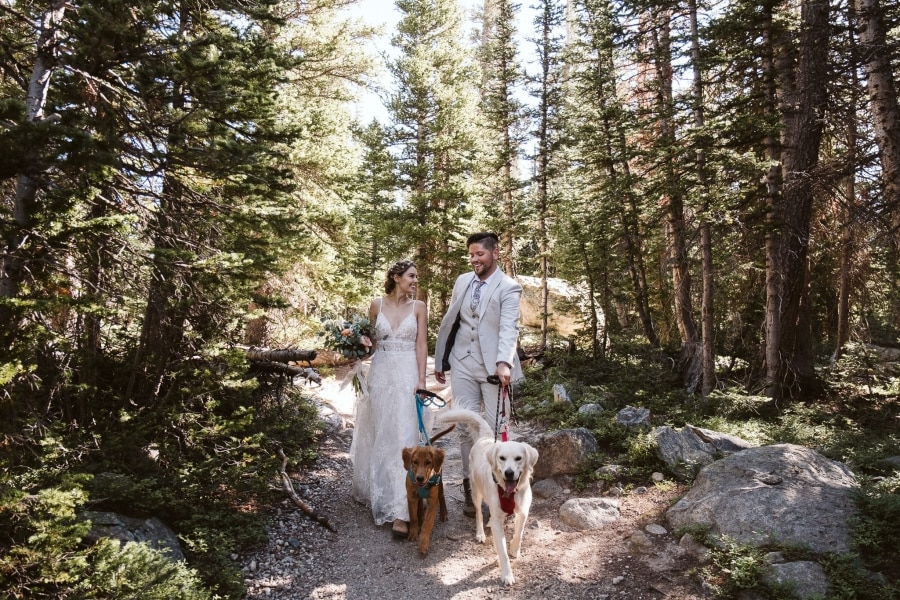 Hiking elopement with dogs in Colorado