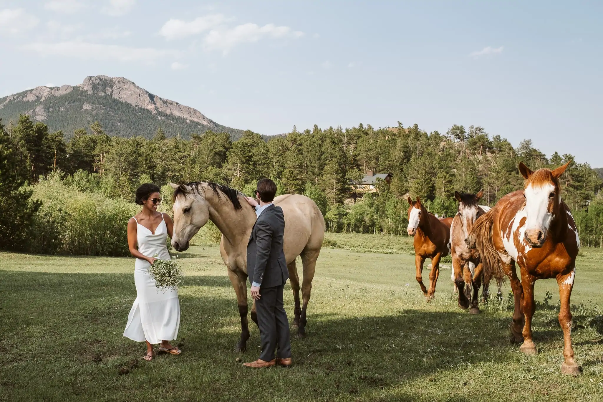 Colorado wedding with horses at Meeker Park Lodge in Allenspark