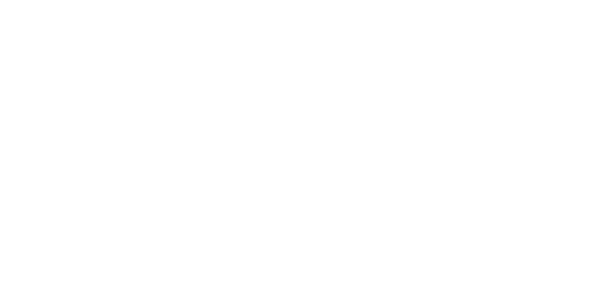 Larsen Photo Co. primary logo
