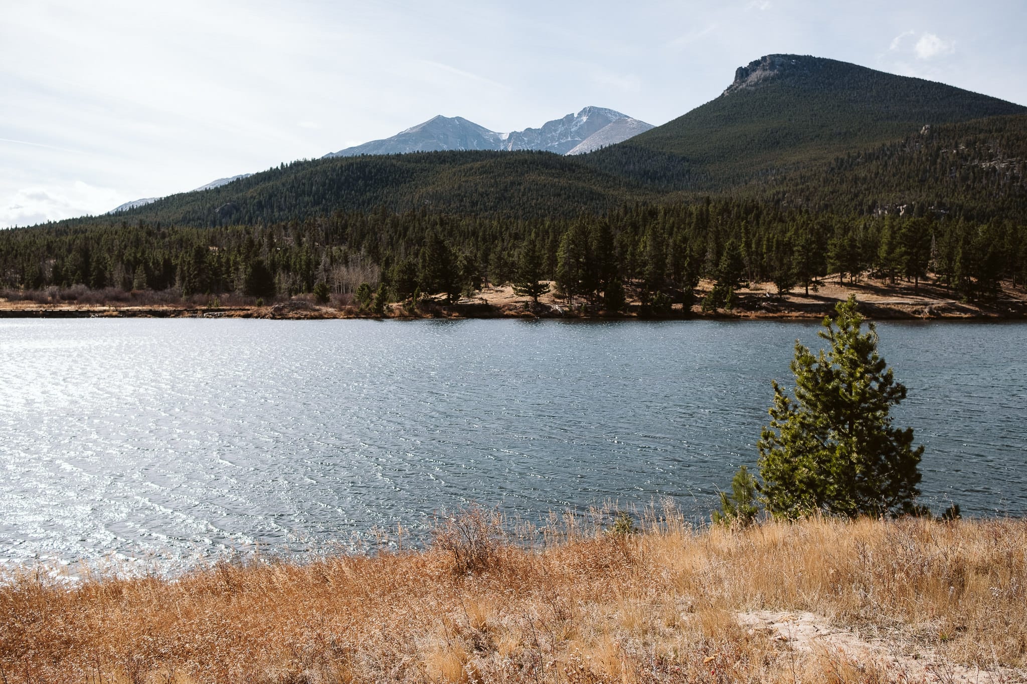 Lily Lake trail elopement site