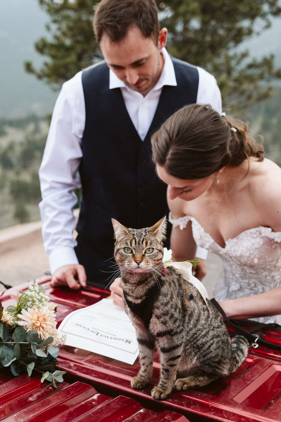 Self-solemnized elopement with cat