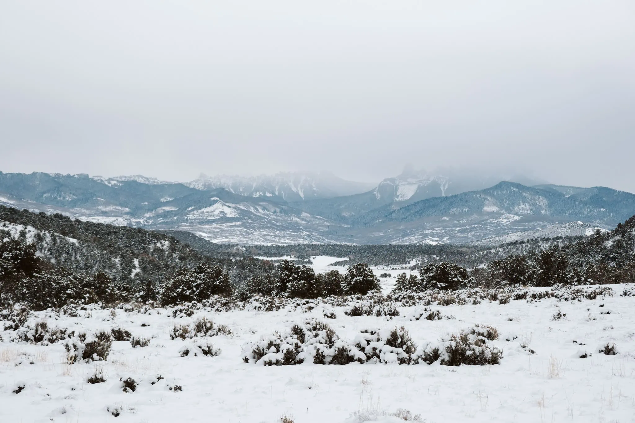 Ridgway State Park in Colorado in winter